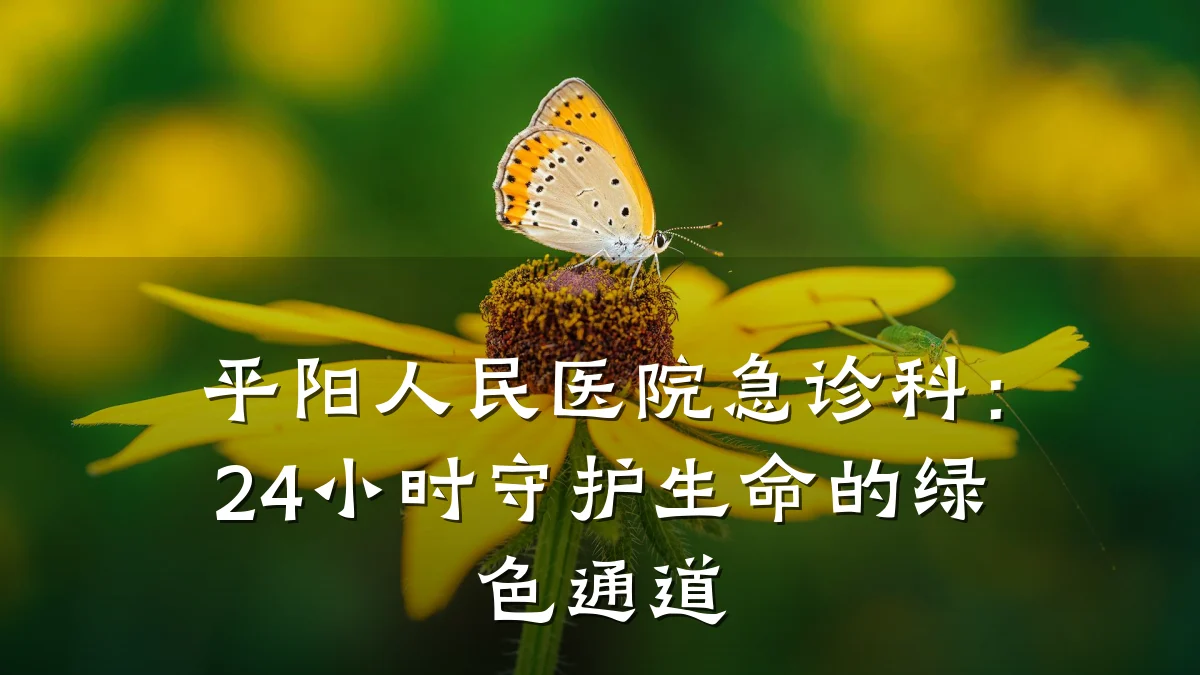 平阳人民医院急诊科:24小时守护生命的绿色通道