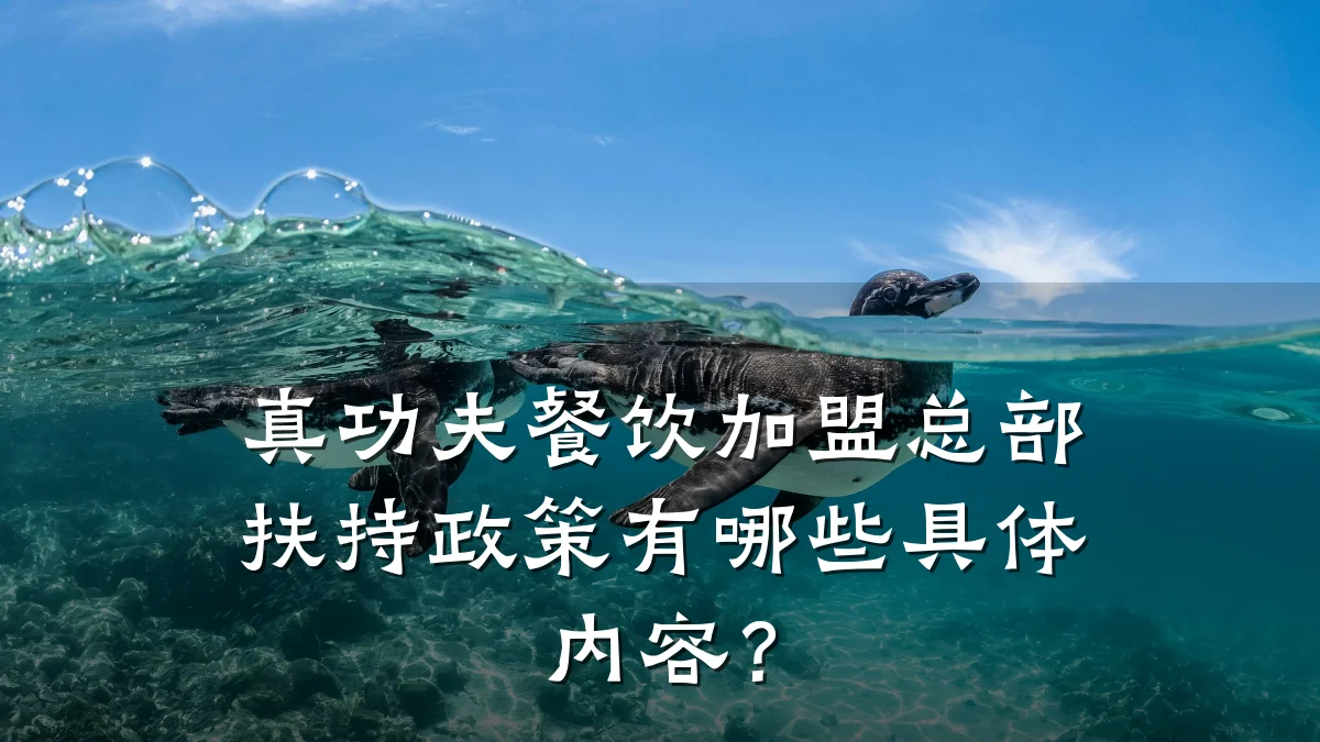 真功夫餐饮加盟总部扶持政策有哪些具体内容?