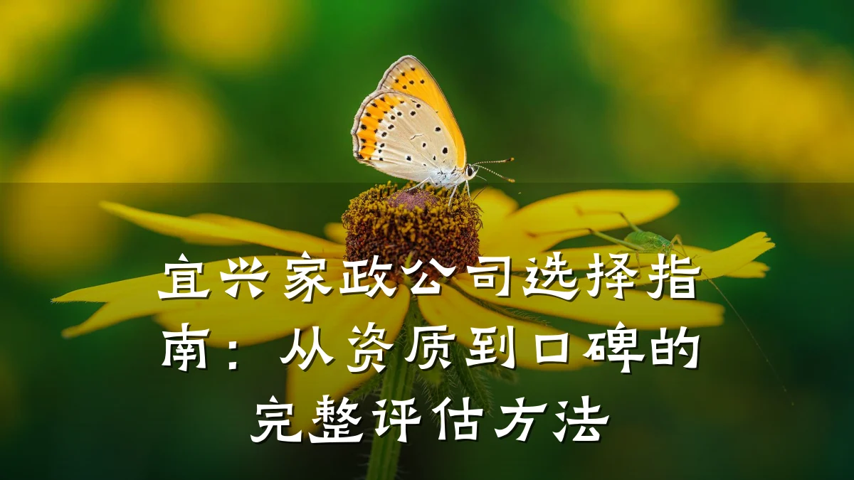 宜兴家政公司选择指南:从资质到口碑的完整评估方法