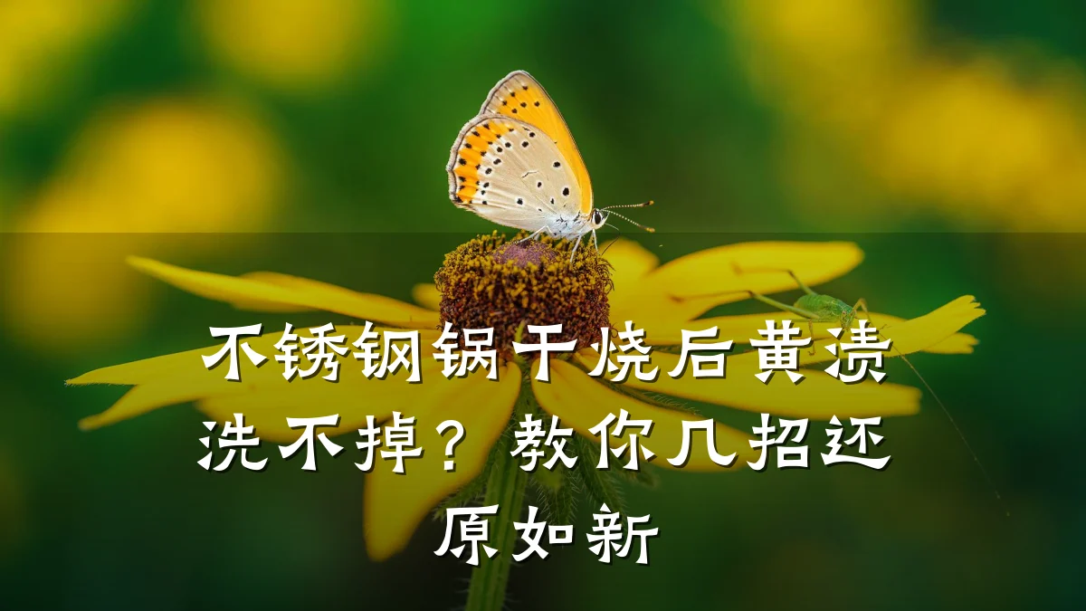 不锈钢锅干烧后黄渍洗不掉?教你几招还原如新