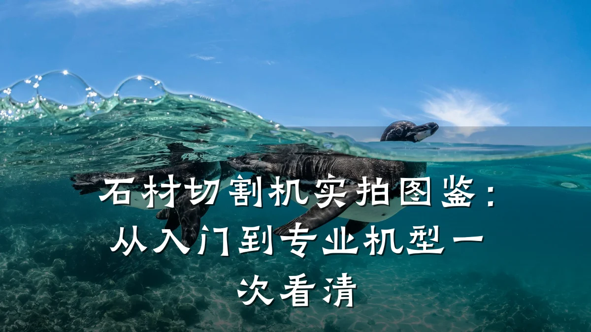 石材切割机实拍图鉴:从入门到专业机型一次看清