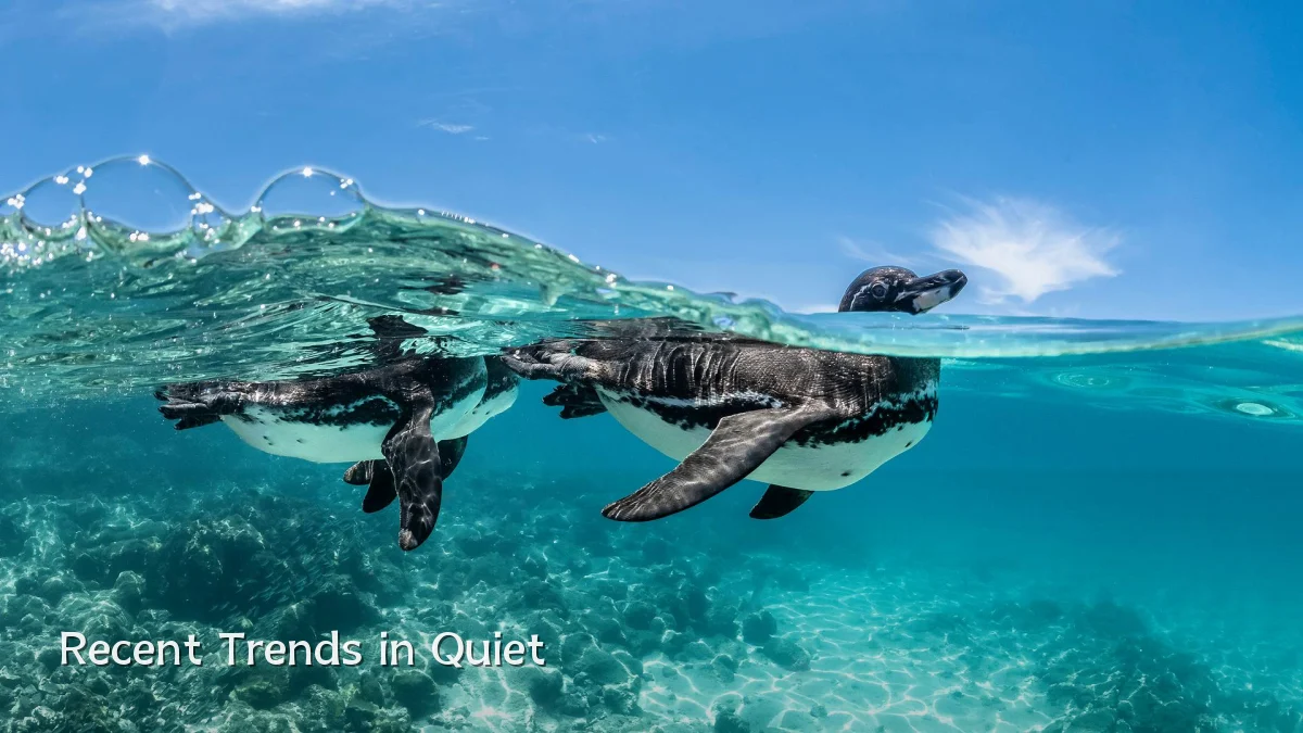 Recent Trends in Quiet