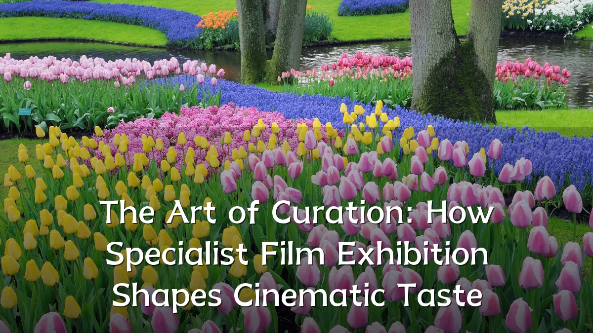 The Art of Curation: How Specialist Film Exhibition Shapes Cinematic Taste