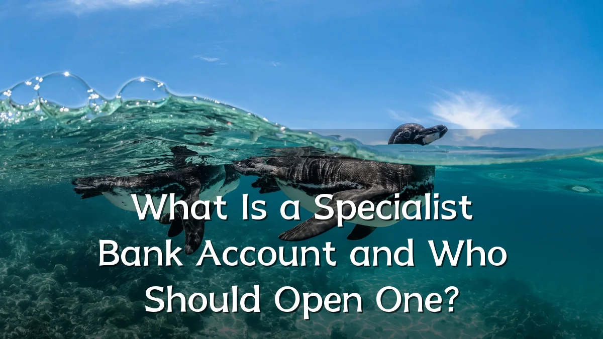 What Is a Specialist Bank Account and Who Should Open One?