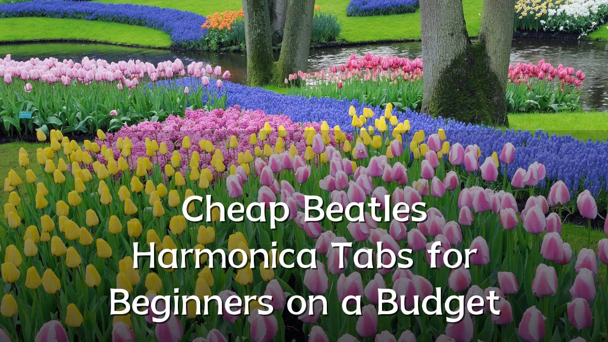 Cheap Beatles Harmonica Tabs for Beginners on a Budget