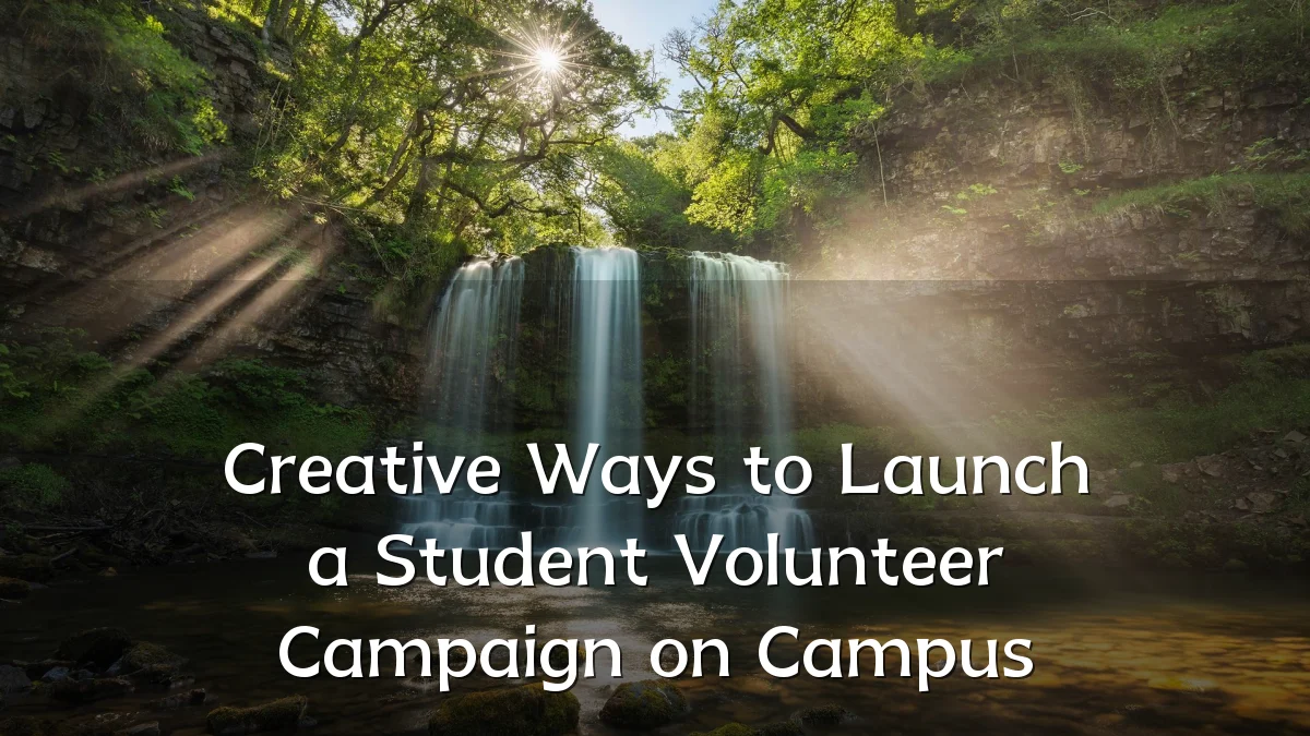 Creative Ways to Launch a Student Volunteer Campaign on Campus