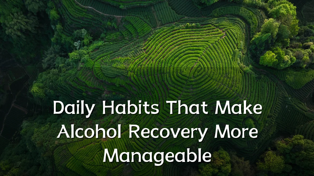 Daily Habits That Make Alcohol Recovery More Manageable