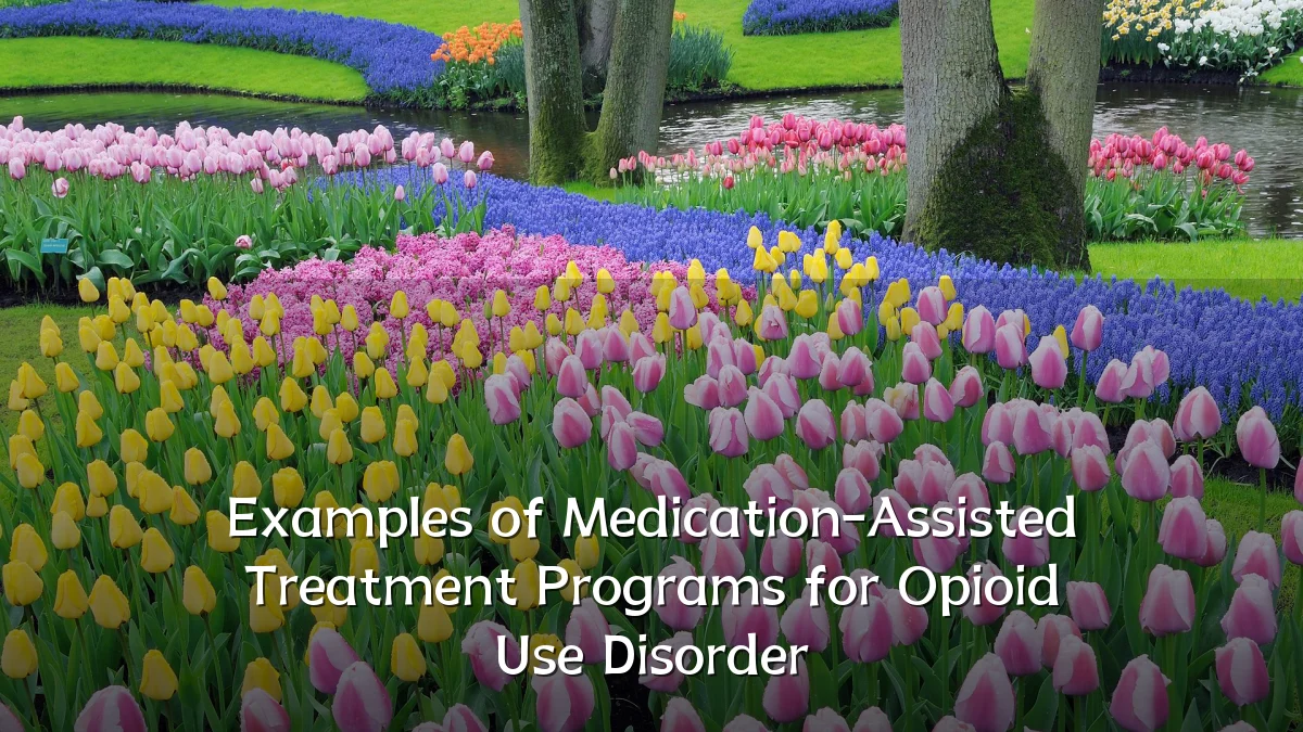 Examples of Medication-Assisted Treatment Programs for Opioid Use Disorder