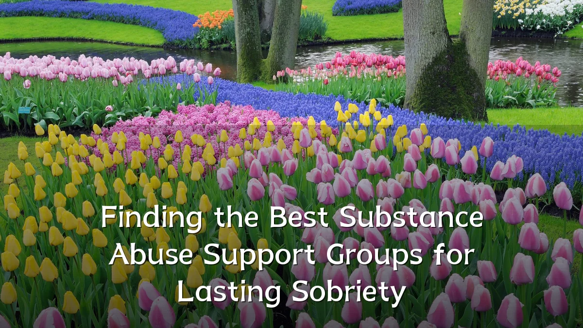 Finding the Best Substance Abuse Support Groups for Lasting Sobriety