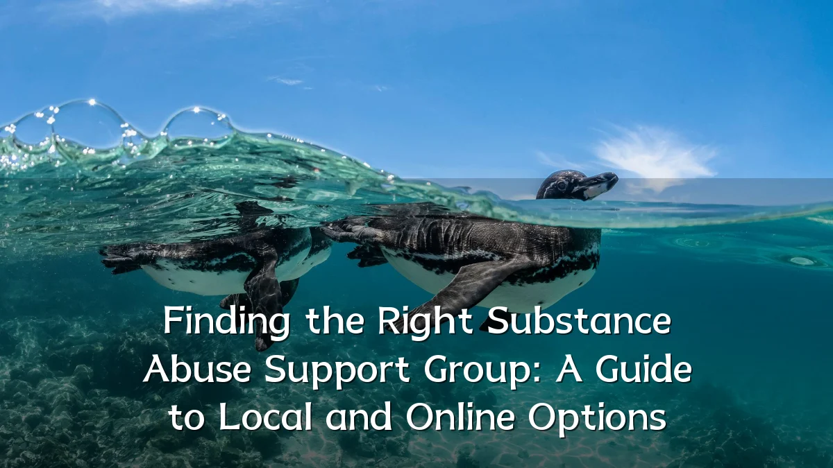 Finding the Right Substance Abuse Support Group: A Guide to Local and Online Options