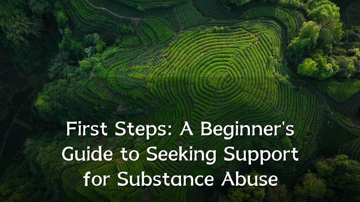First Steps: A Beginner's Guide to Seeking Support for Substance Abuse