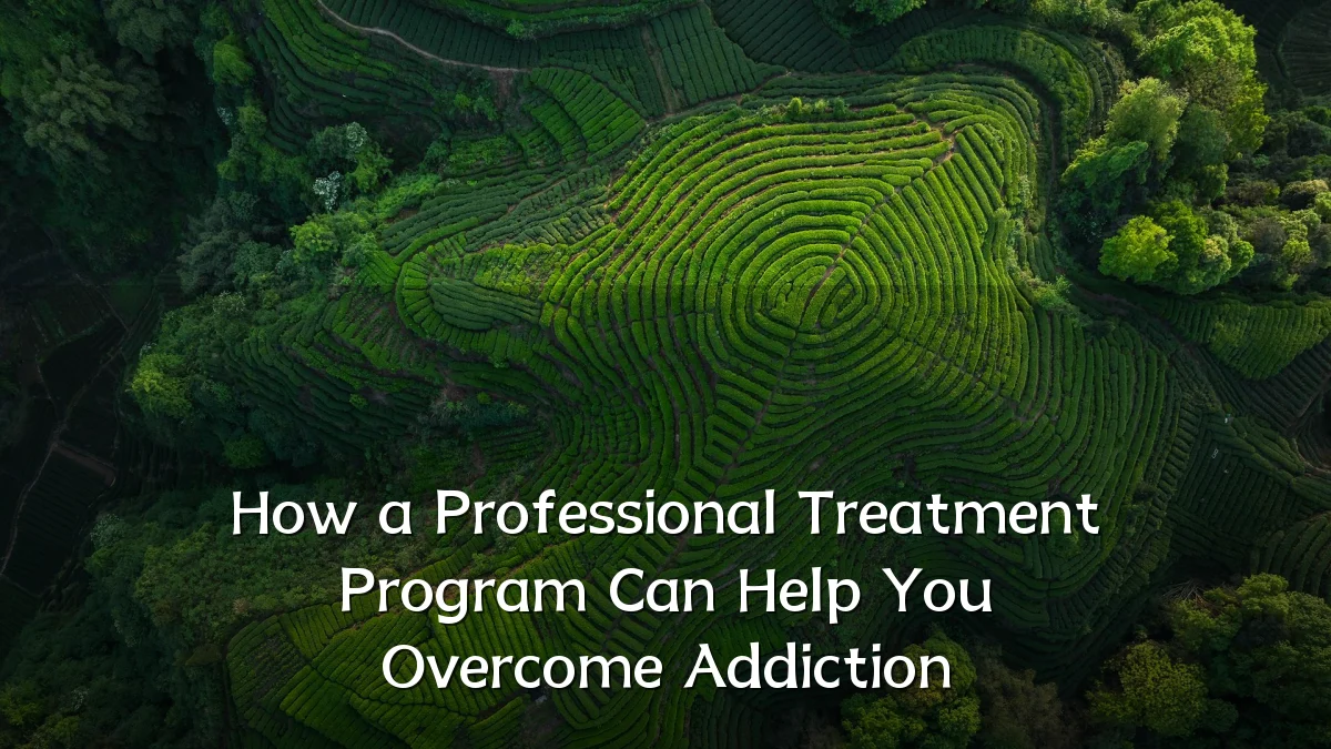 How a Professional Treatment Program Can Help You Overcome Addiction