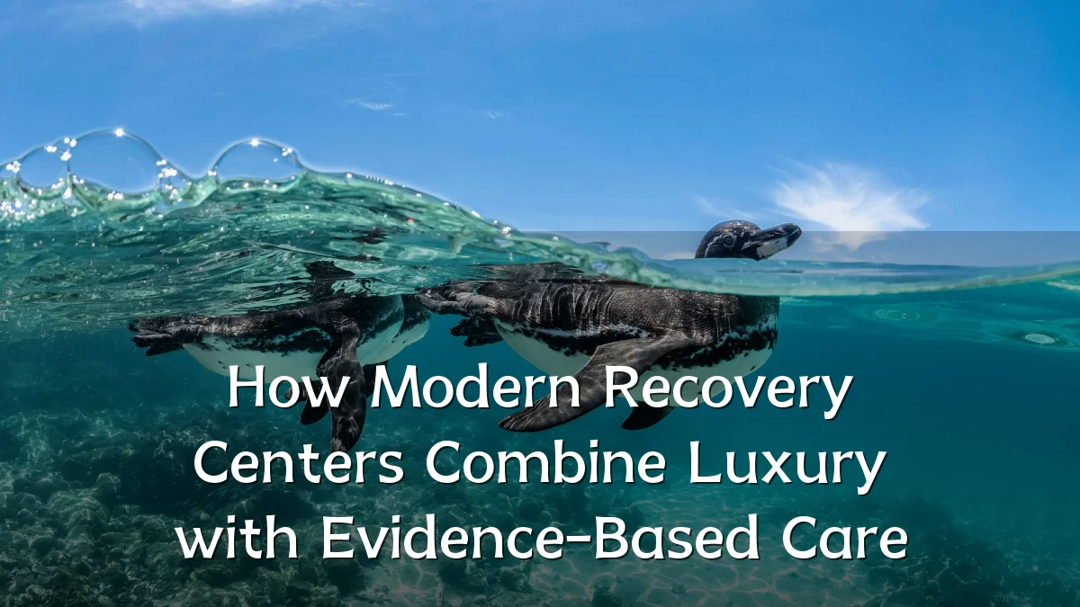 How Modern Recovery Centers Combine Luxury with Evidence-Based Care