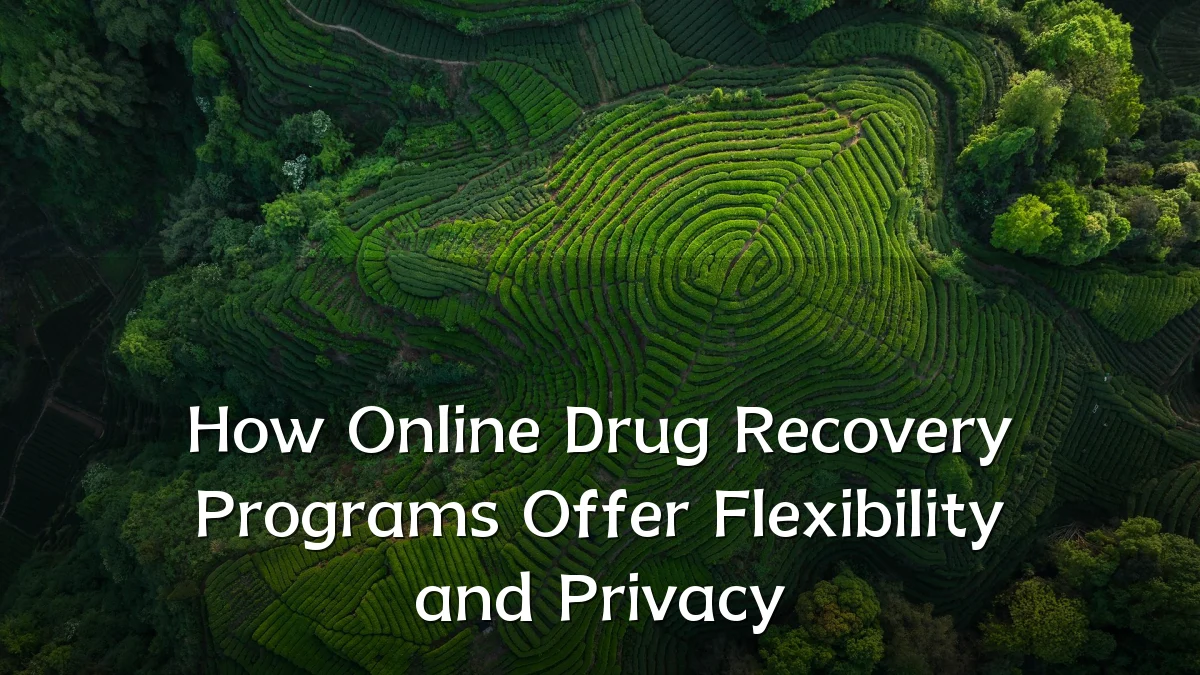 How Online Drug Recovery Programs Offer Flexibility and Privacy