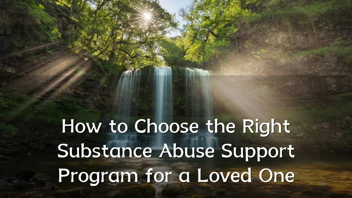 How to Choose the Right Substance Abuse Support Program for a Loved One