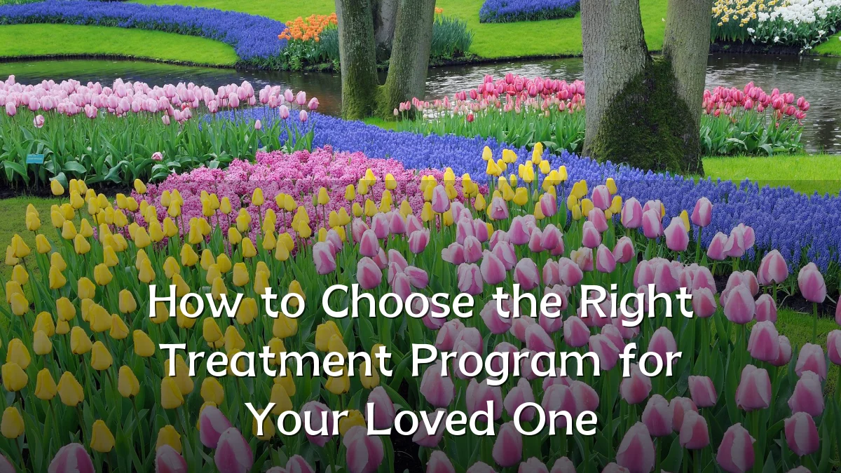 How to Choose the Right Treatment Program for Your Loved One