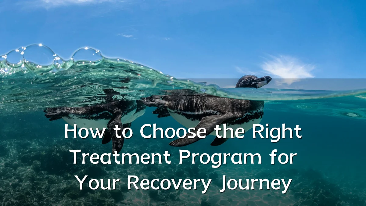 How to Choose the Right Treatment Program for Your Recovery Journey
