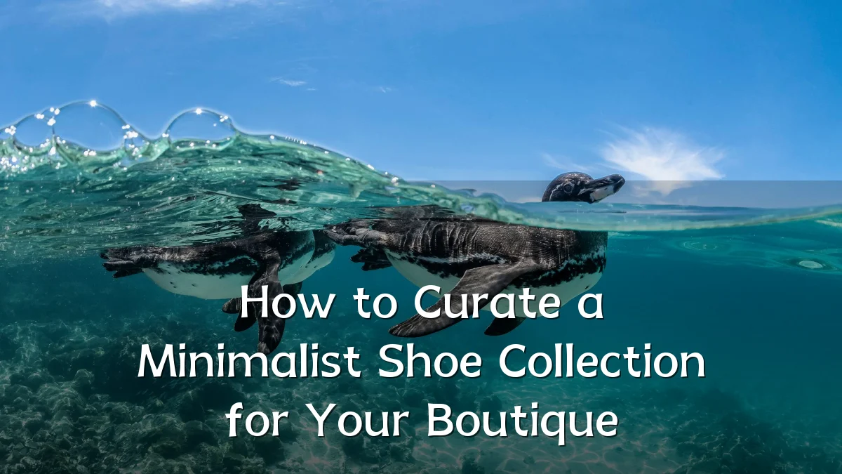 How to Curate a Minimalist Shoe Collection for Your Boutique