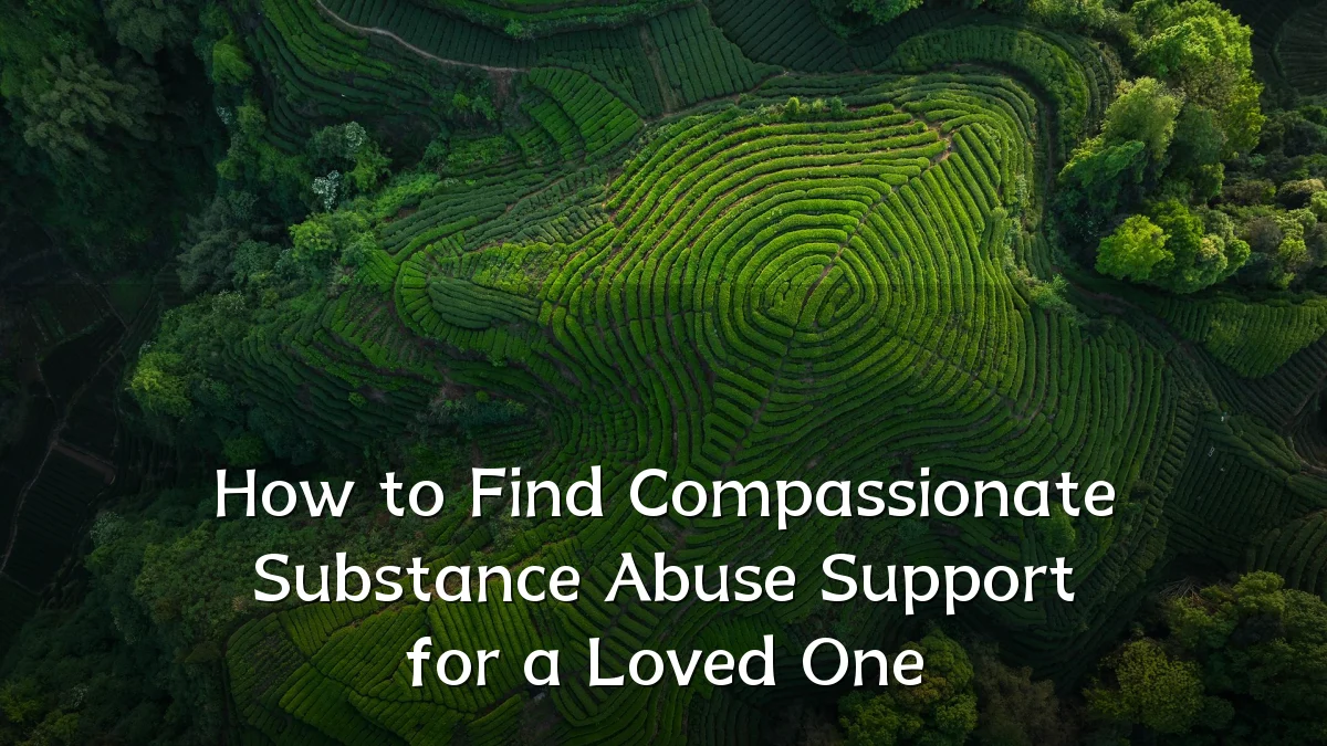 How to Find Compassionate Substance Abuse Support for a Loved One