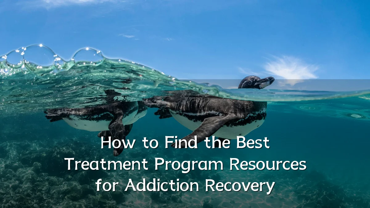 How to Find the Best Treatment Program Resources for Addiction Recovery