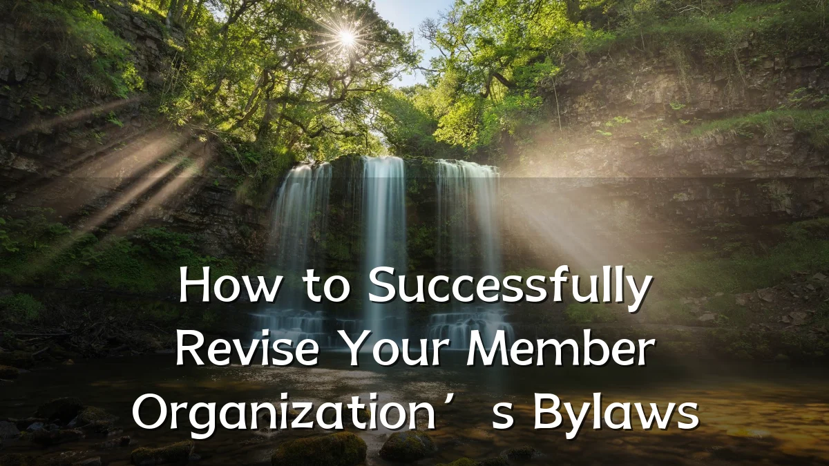 How to Successfully Revise Your Member Organization’s Bylaws