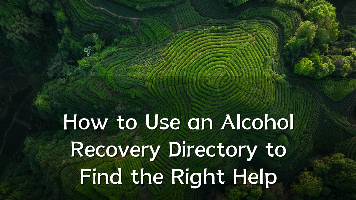 How to Use an Alcohol Recovery Directory to Find the Right Help