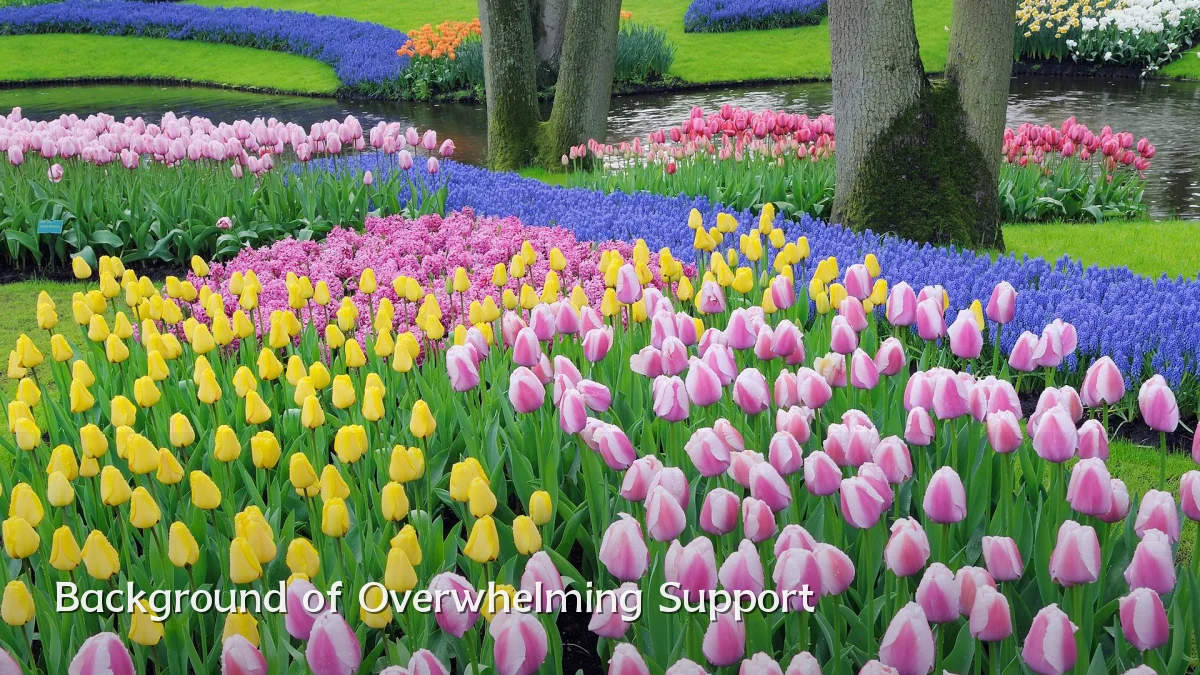 Background of Overwhelming Support