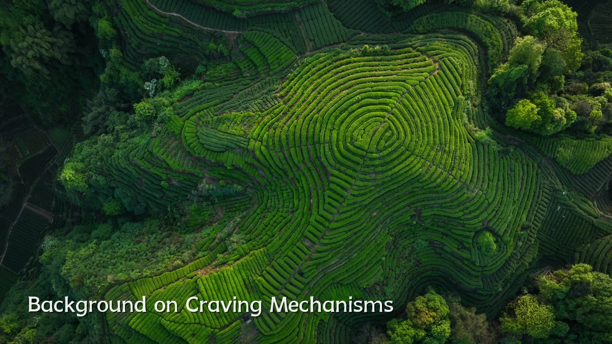 Background on Craving Mechanisms