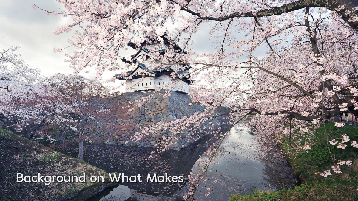 Background on What Makes