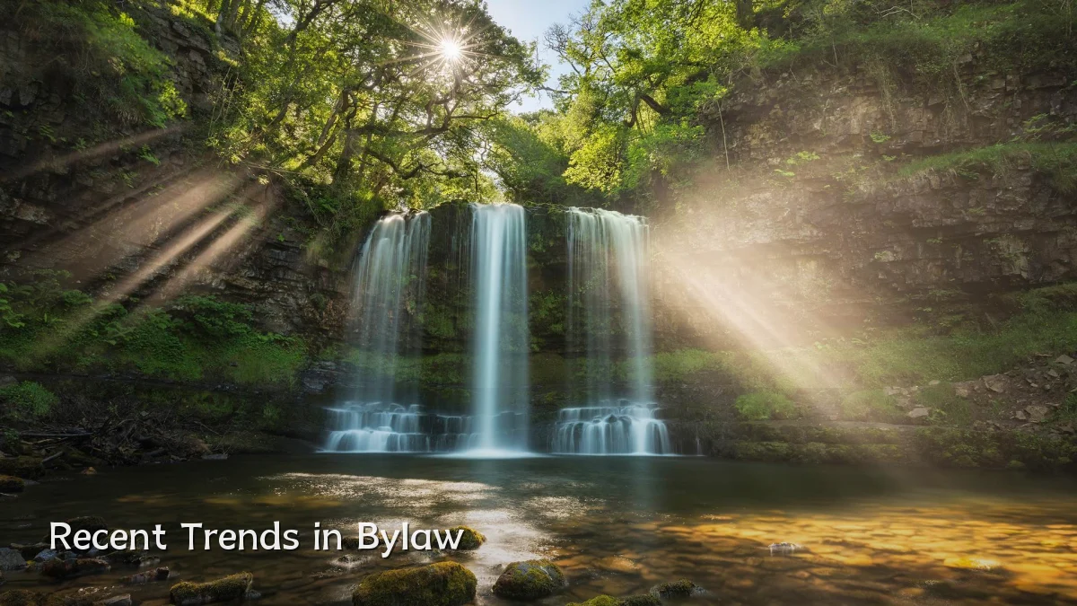 Recent Trends in Bylaw