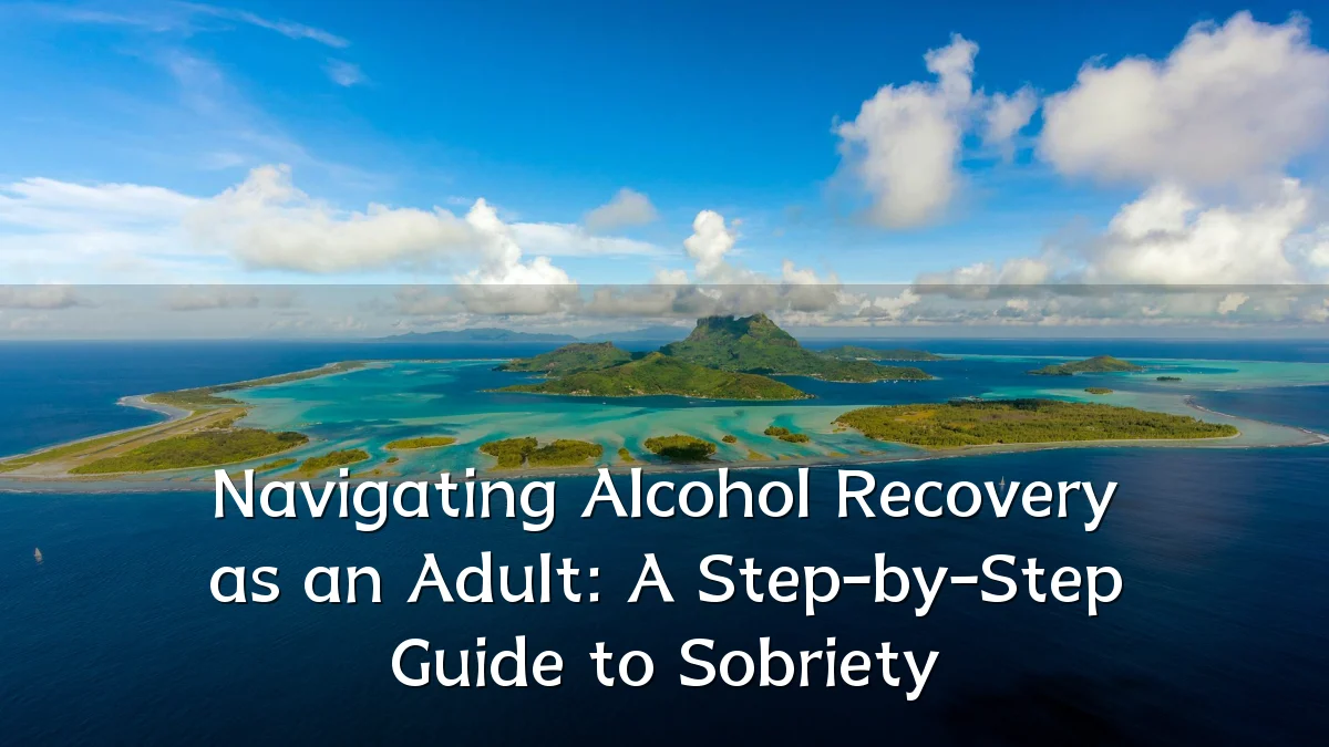 Navigating Alcohol Recovery as an Adult: A Step-by-Step Guide to Sobriety