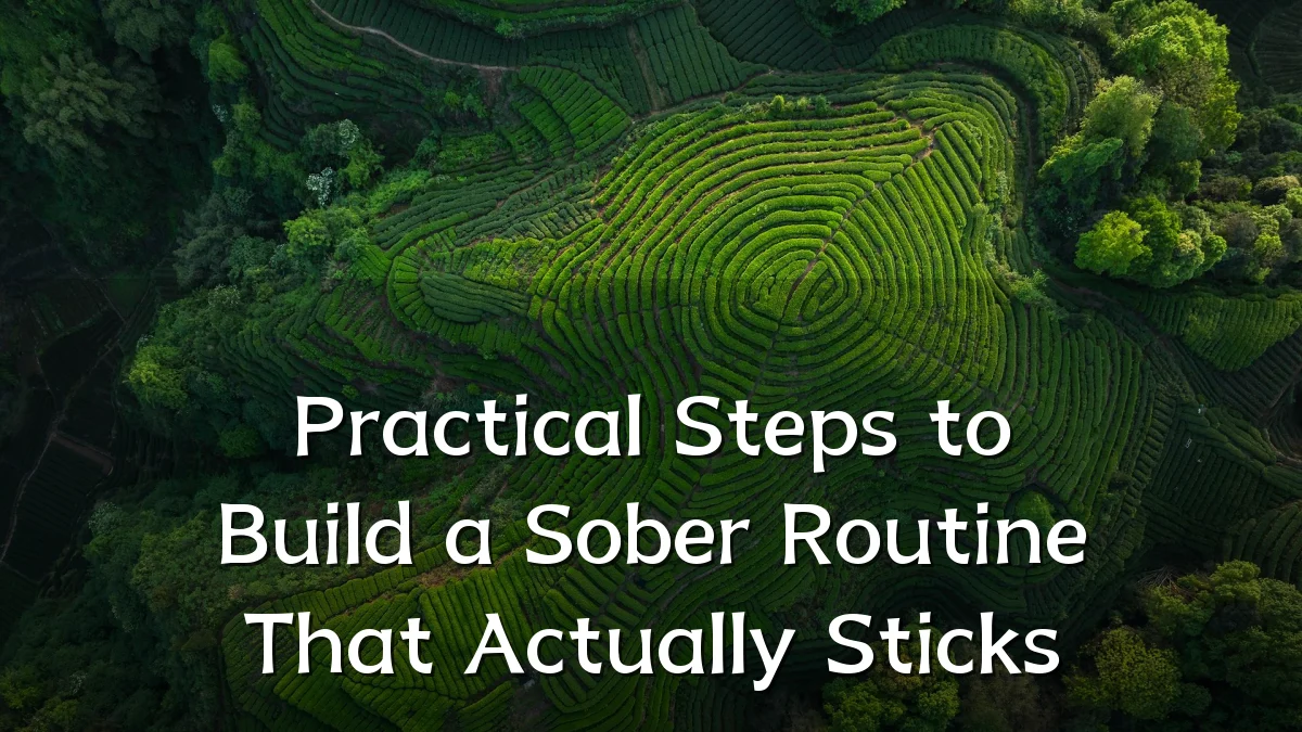 Practical Steps to Build a Sober Routine That Actually Sticks