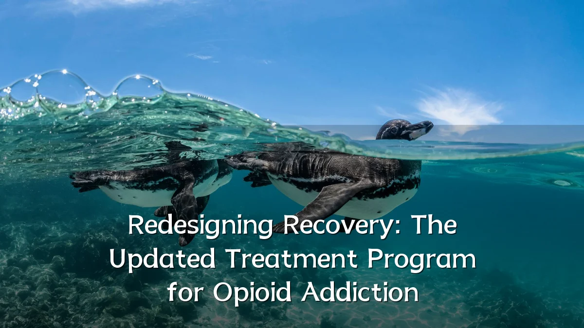 Redesigning Recovery: The Updated Treatment Program for Opioid Addiction