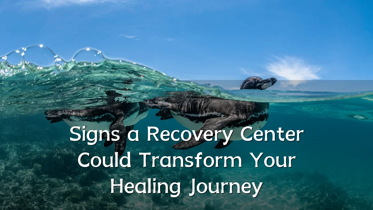 Signs a Recovery Center Could Transform Your Healing Journey