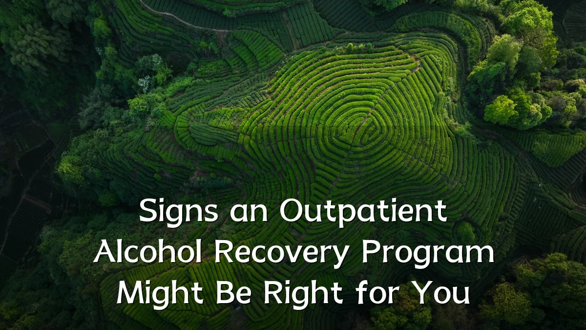 Signs an Outpatient Alcohol Recovery Program Might Be Right for You