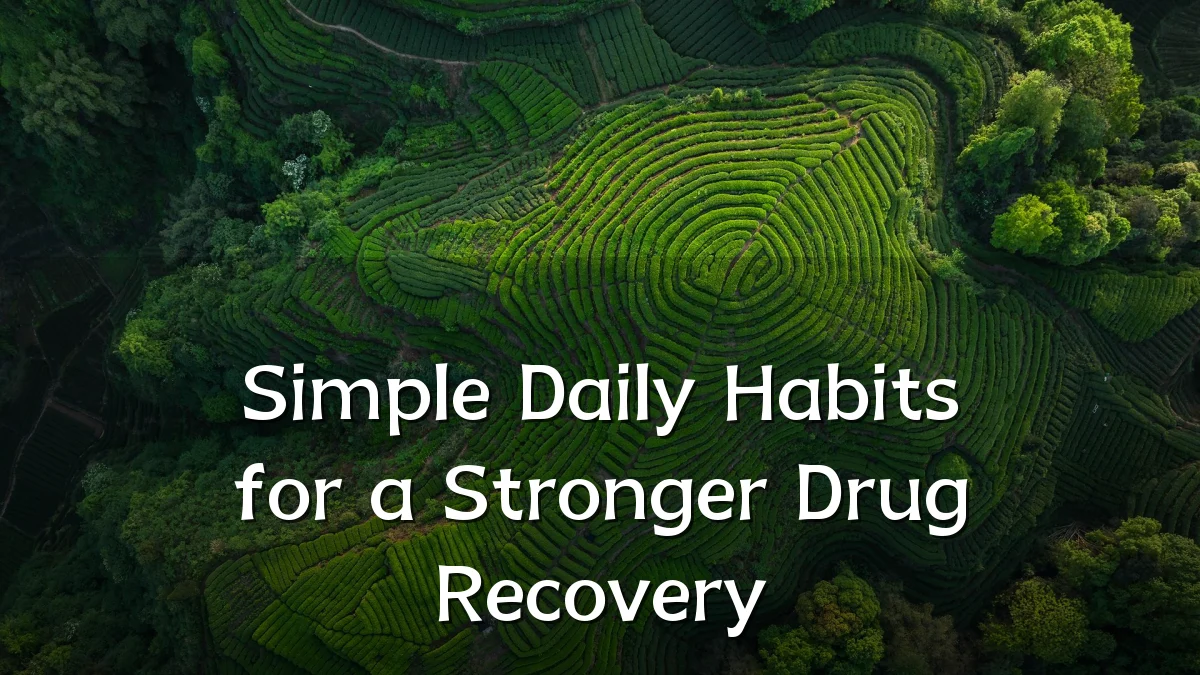 Simple Daily Habits for a Stronger Drug Recovery