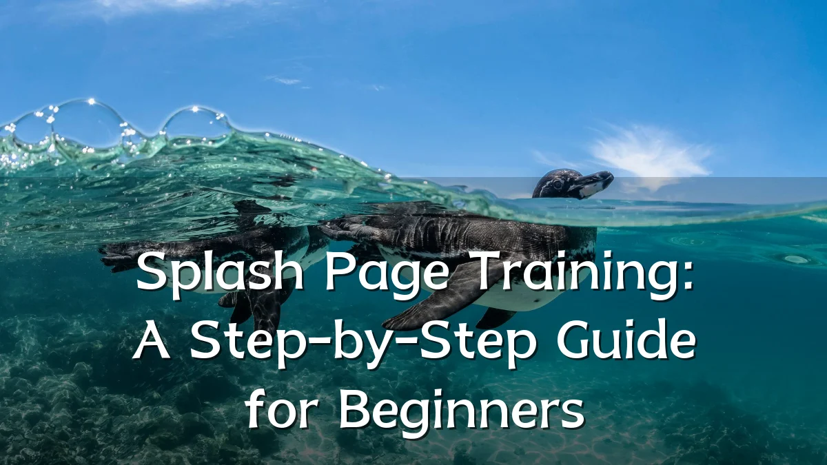 Splash Page Training: A Step-by-Step Guide for Beginners