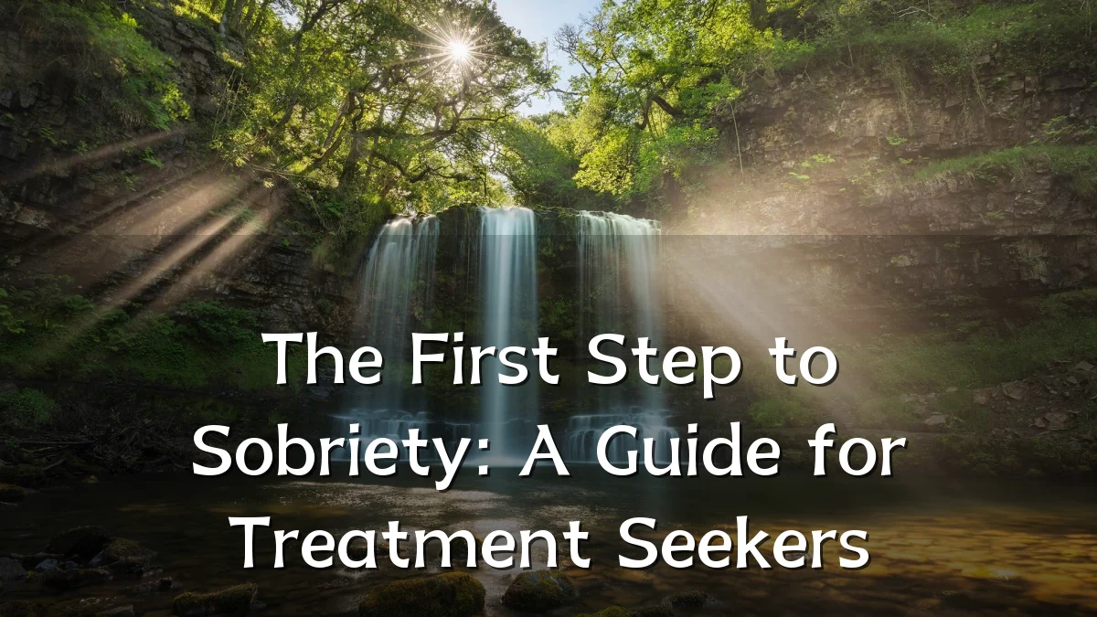 The First Step to Sobriety: A Guide for Treatment Seekers