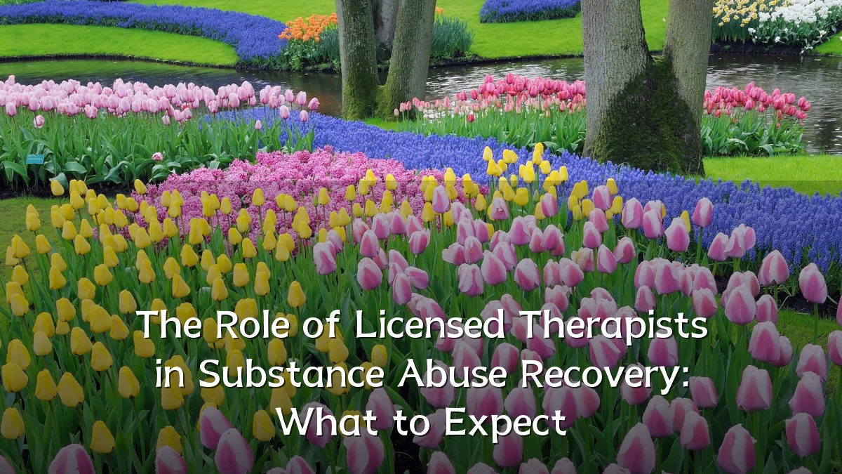 The Role of Licensed Therapists in Substance Abuse Recovery: What to Expect