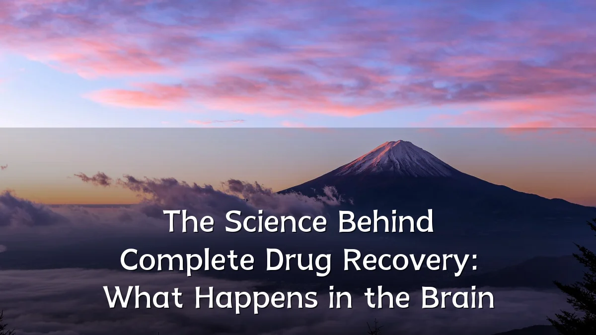 The Science Behind Complete Drug Recovery: What Happens in the Brain