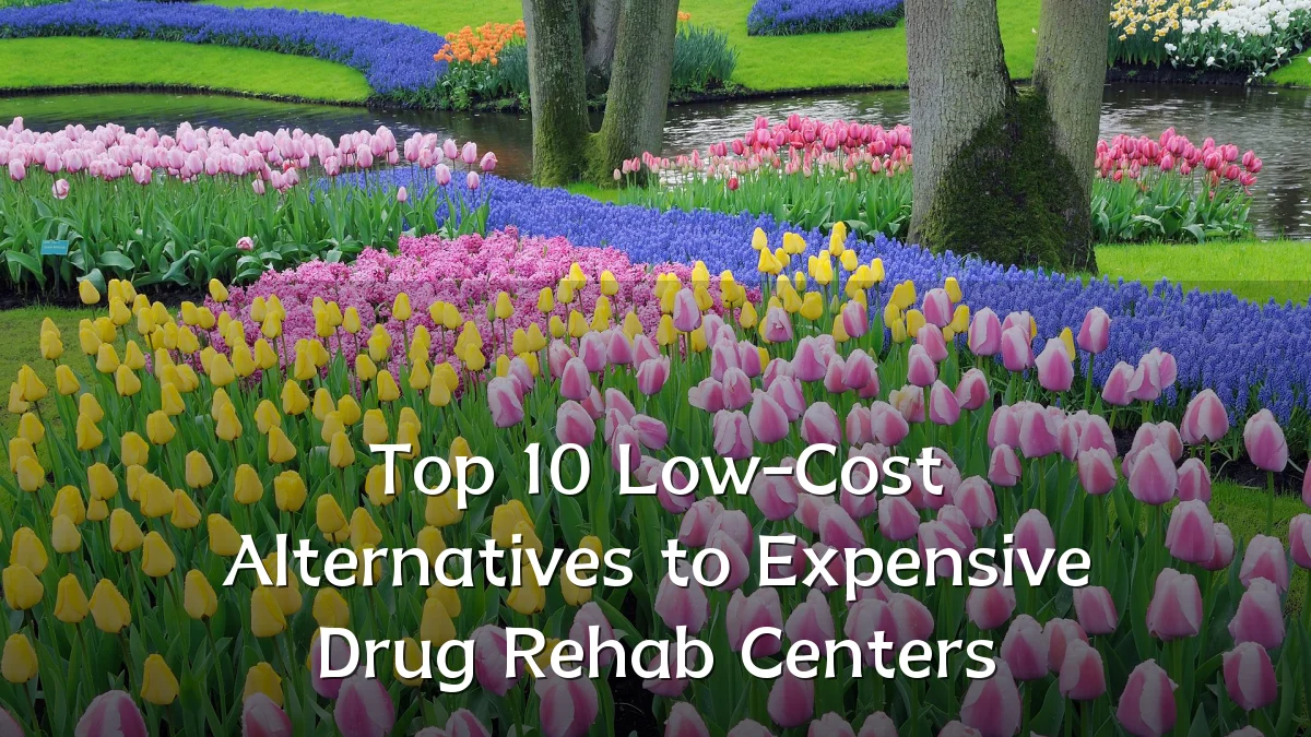 Top 10 Low-Cost Alternatives to Expensive Drug Rehab Centers