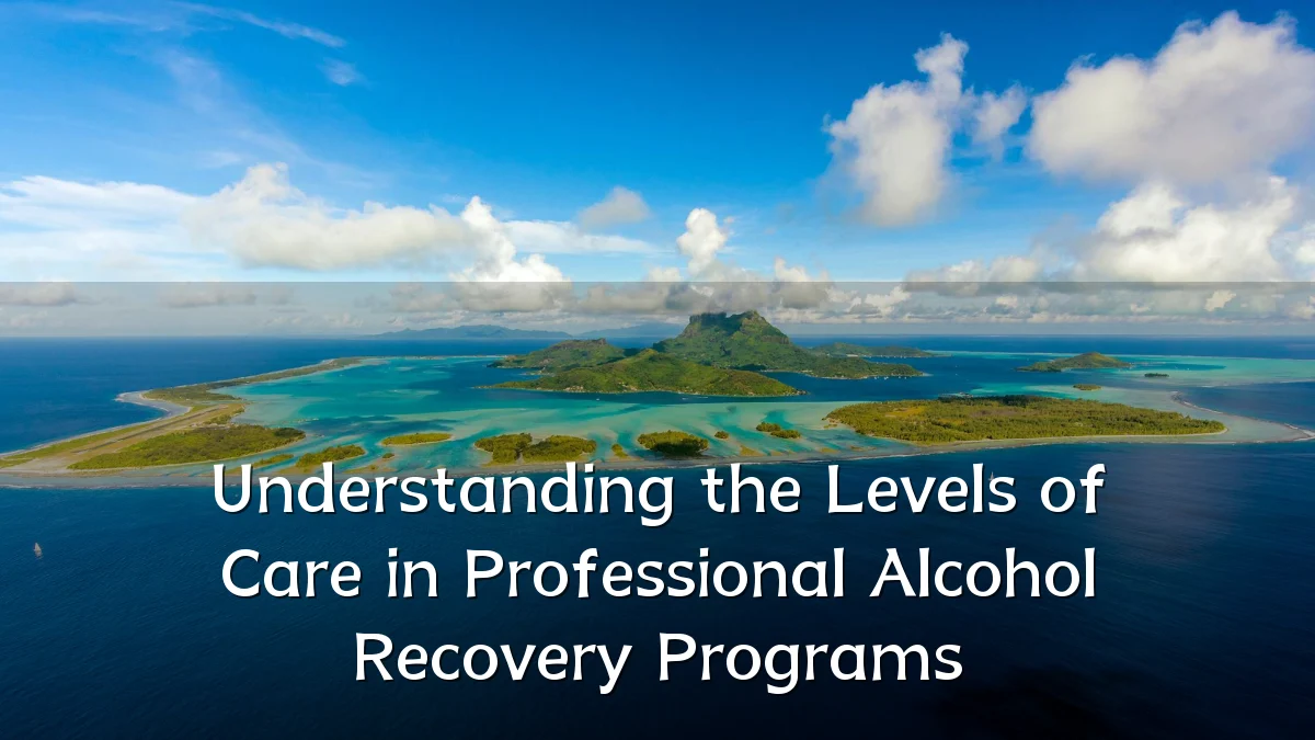 Understanding the Levels of Care in Professional Alcohol Recovery Programs