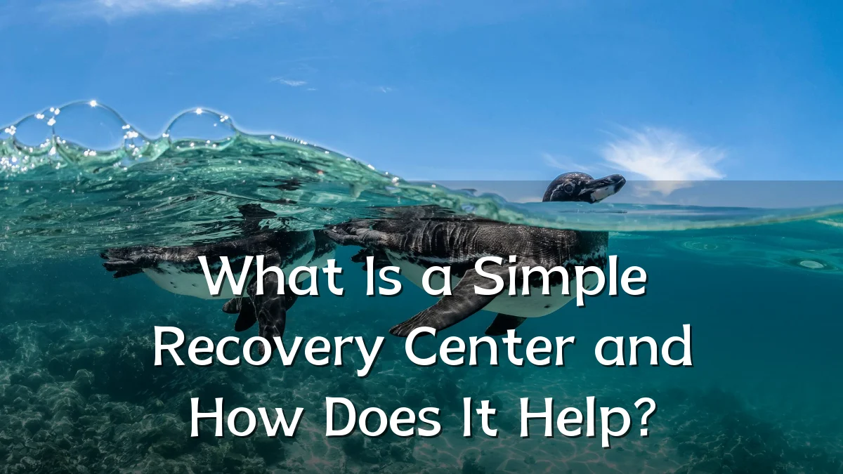 What Is a Simple Recovery Center and How Does It Help?
