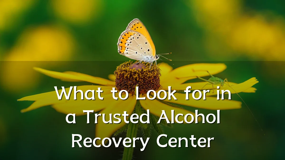 What to Look for in a Trusted Alcohol Recovery Center