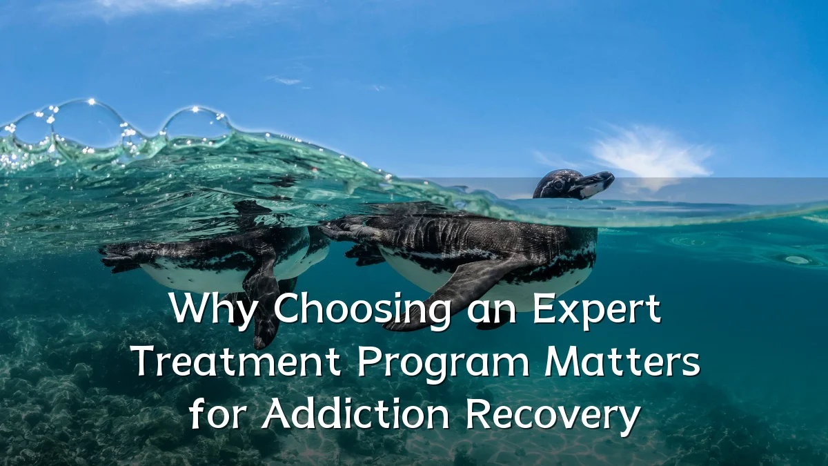 Why Choosing an Expert Treatment Program Matters for Addiction Recovery