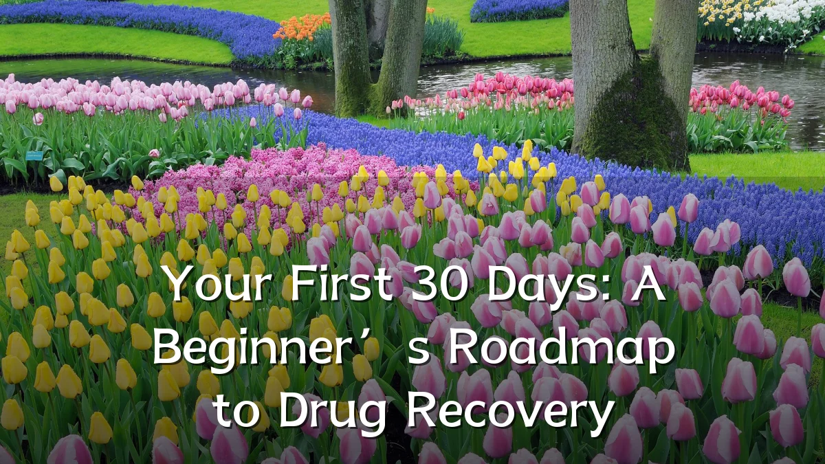 Your First 30 Days: A Beginner’s Roadmap to Drug Recovery