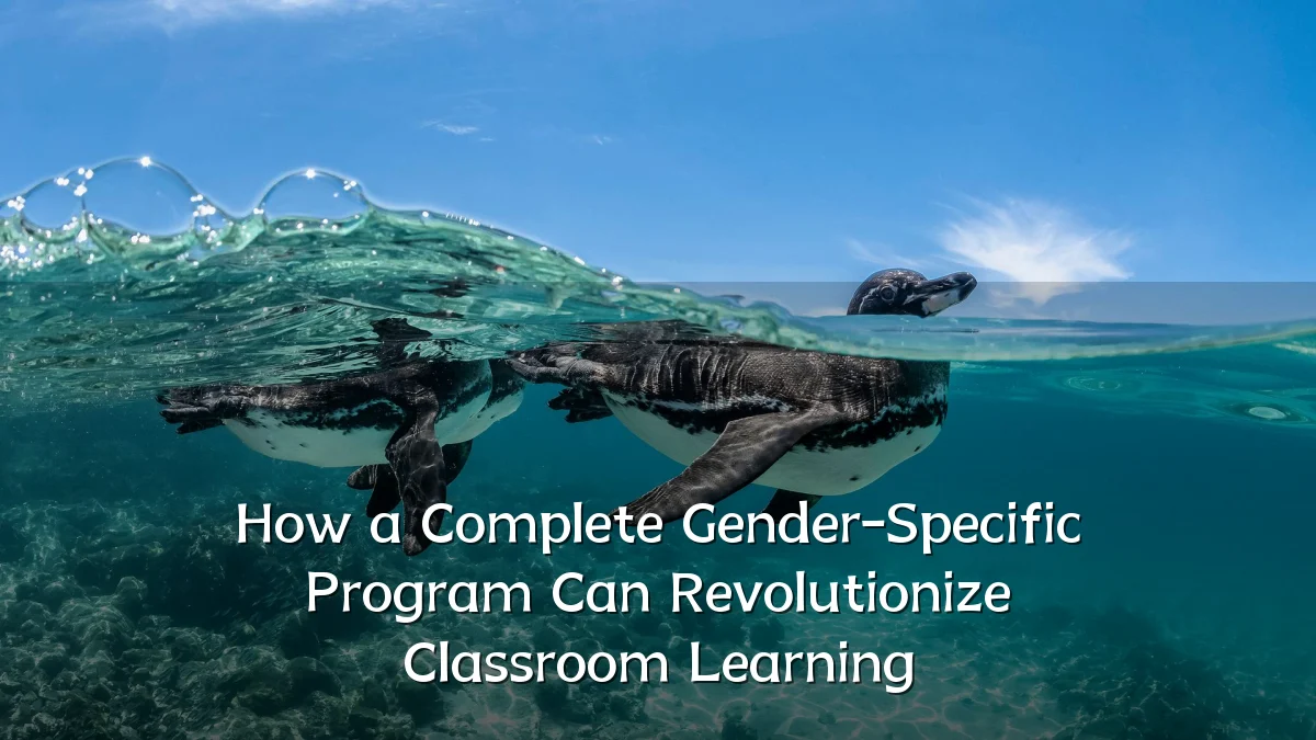 How a Complete Gender-Specific Program Can Revolutionize Classroom Learning