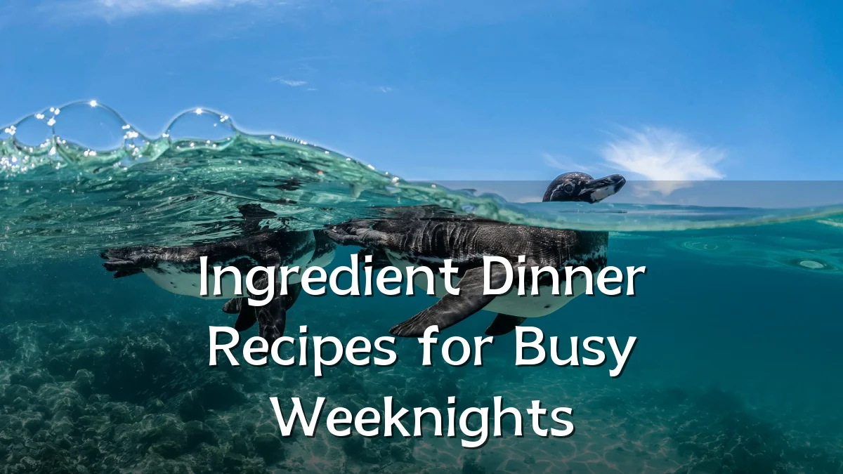 Ingredient Dinner Recipes for Busy Weeknights