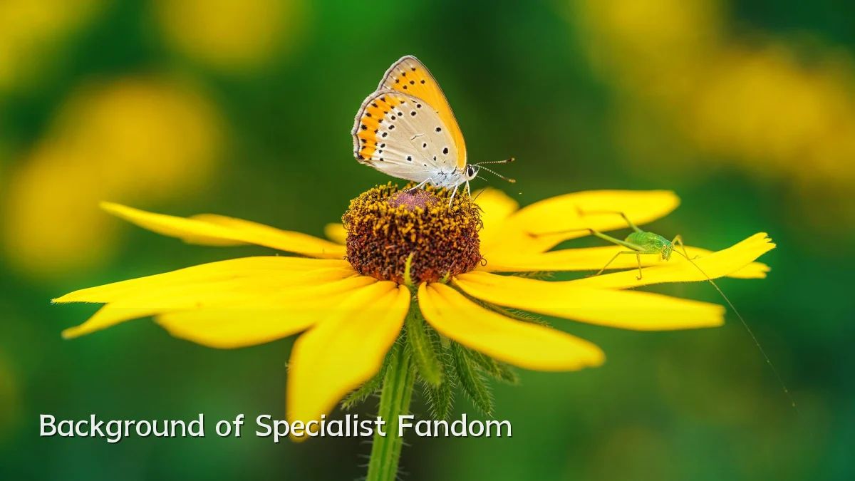 Background of Specialist Fandom