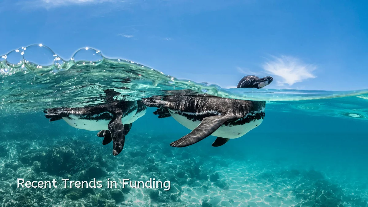 Recent Trends in Funding